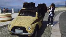 Fiat 500 cheveux