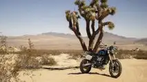 2019 Triumph Scrambler 1200