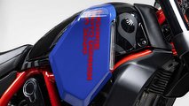 Hookie Co Ducati Scrambler Desert Sled Scorpion Kit - Fuel Tank Panel Closeup