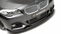 BMW 5-Series M Package by Hamann - 08.2.2011
