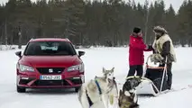 2017 SEAT Leon Cupra ST races sled pulled by huskies