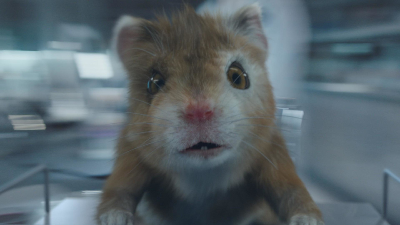 Kia Soul Commercial >> Kia's Hamsters Return With A Little One In Eighth Commercial Kia Soul Commercial >> Kia's Hamsters Return With A Little One In Eighth Commercial