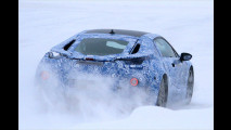 Bayern-Flunder im Schnee erwischt