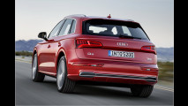 Neuer Audi Q5: Berufs-Evolutionär
