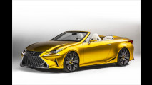 Lexus LF-C2: Ausblick