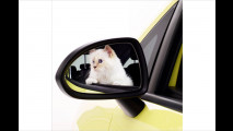 Opel: Corsa, Karl und Katze