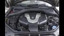 Bergpassziege und Autobahnelefant