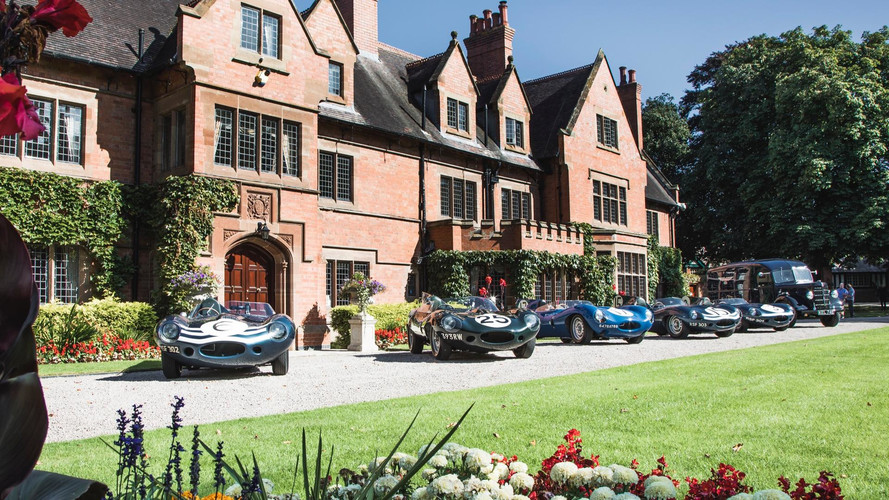 Jaguar D-Type Le Mans Victory Celebration