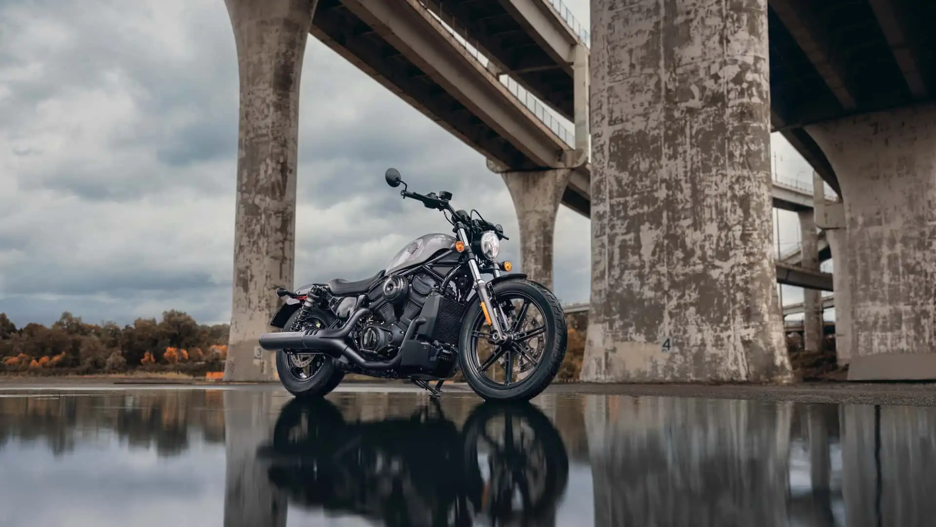 harley-davidson-nightster.webp