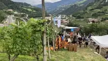 Enovitis Extrême 2025: innovazione eroica tra i vigneti terrazzati del Trentino