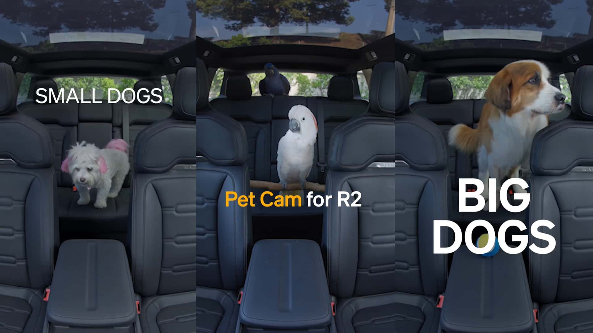 Rivian R2 estrena "Pet Cam": Vigila a tus mascotas desde tu smartphone
