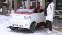Dartz Freze Froggy EV Beachstar The Winners Edition