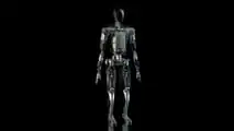 Tesla Bot