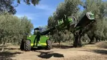 Foto - Sicma: ad Agrilevante le semoventi per la raccolta-olive