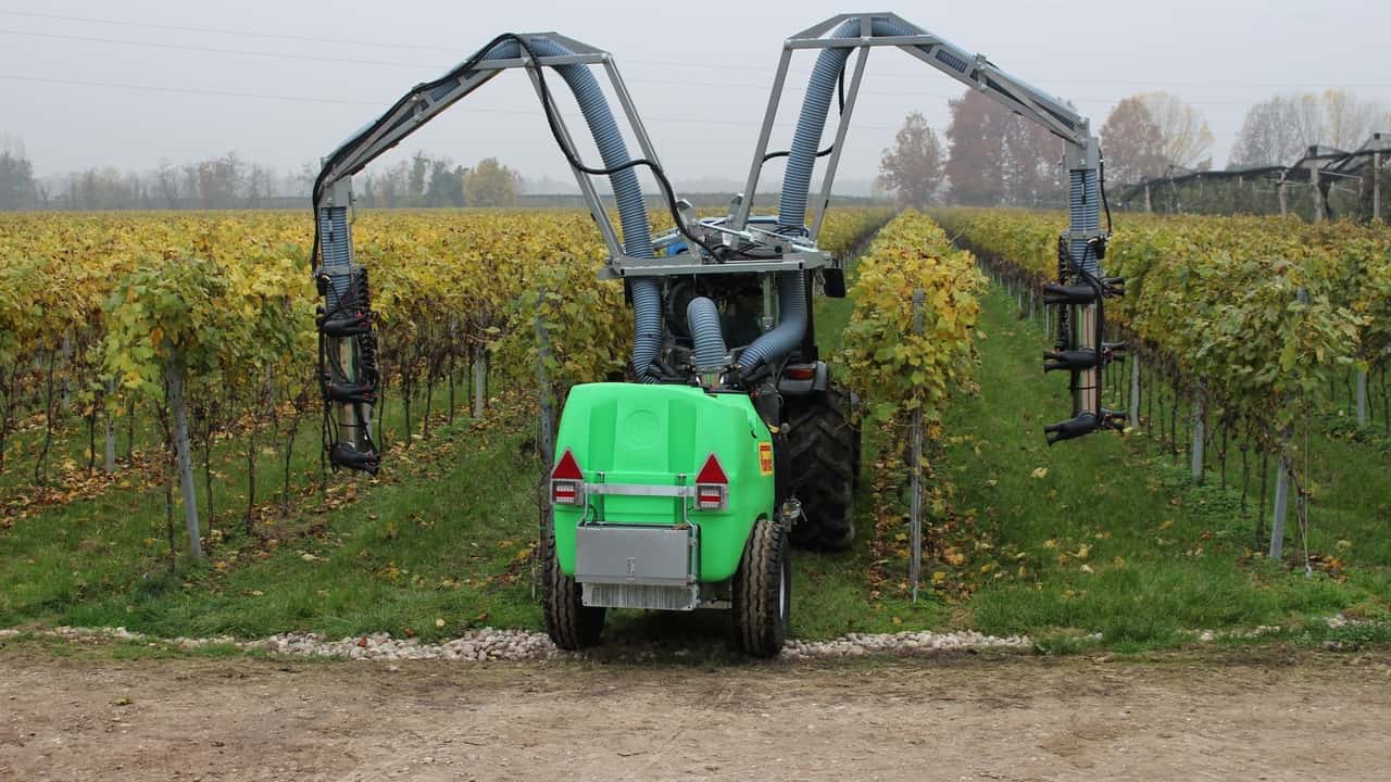 Vendemmia 2023: la più scarsa degli ultimi 76 anni