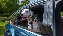 Bentley at 2024 Goodwoof