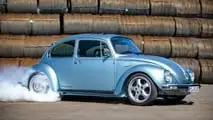Knepper Bugs & More: Projekt RS-E