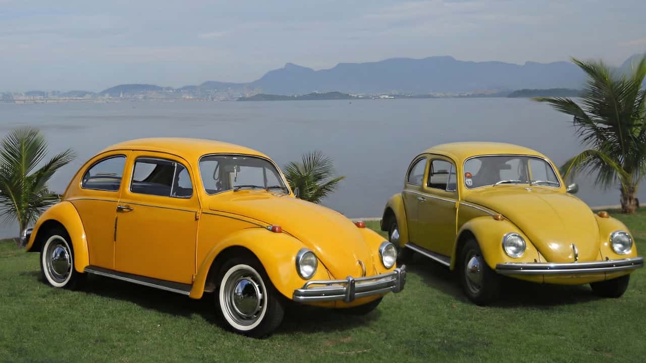 Amarelo Safári (esq) e Amarelo Texas (Foto - Matheus Marques) (2)