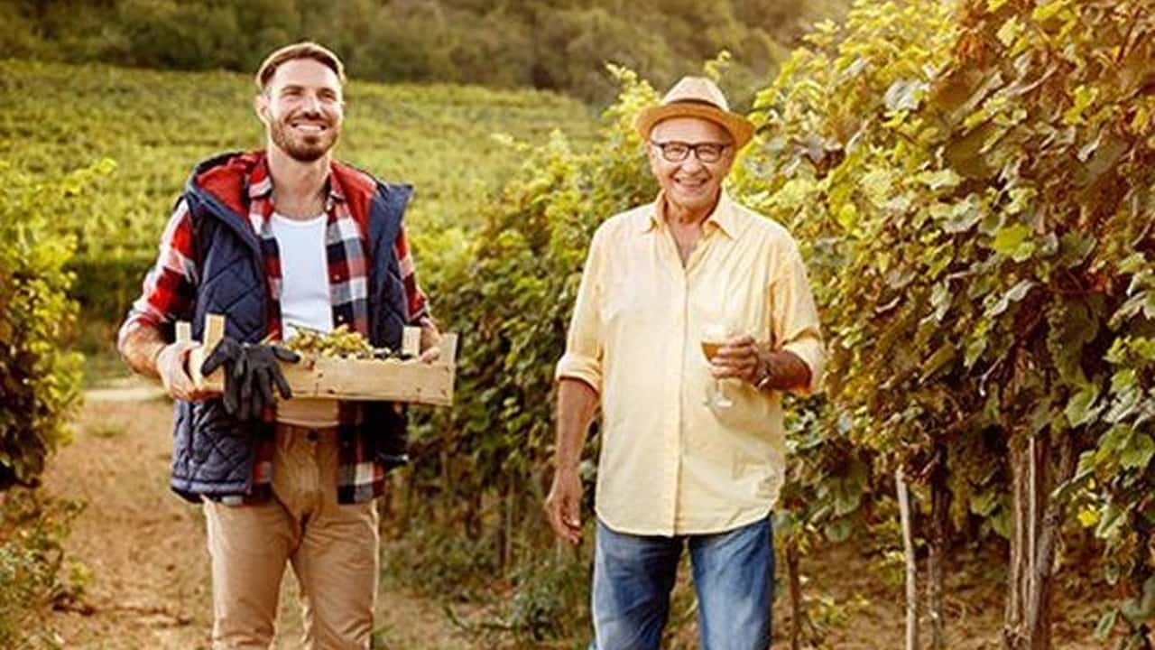 Lavoro familiare in agricoltura: serve sempre la prova della subordinazione, anche senza convivenza