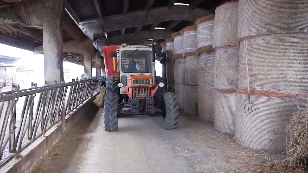 NASpI accessibile ai lavoratori agricoli subordinati non operai. Serve perdita involontaria del posto e 13 settimane di contributi