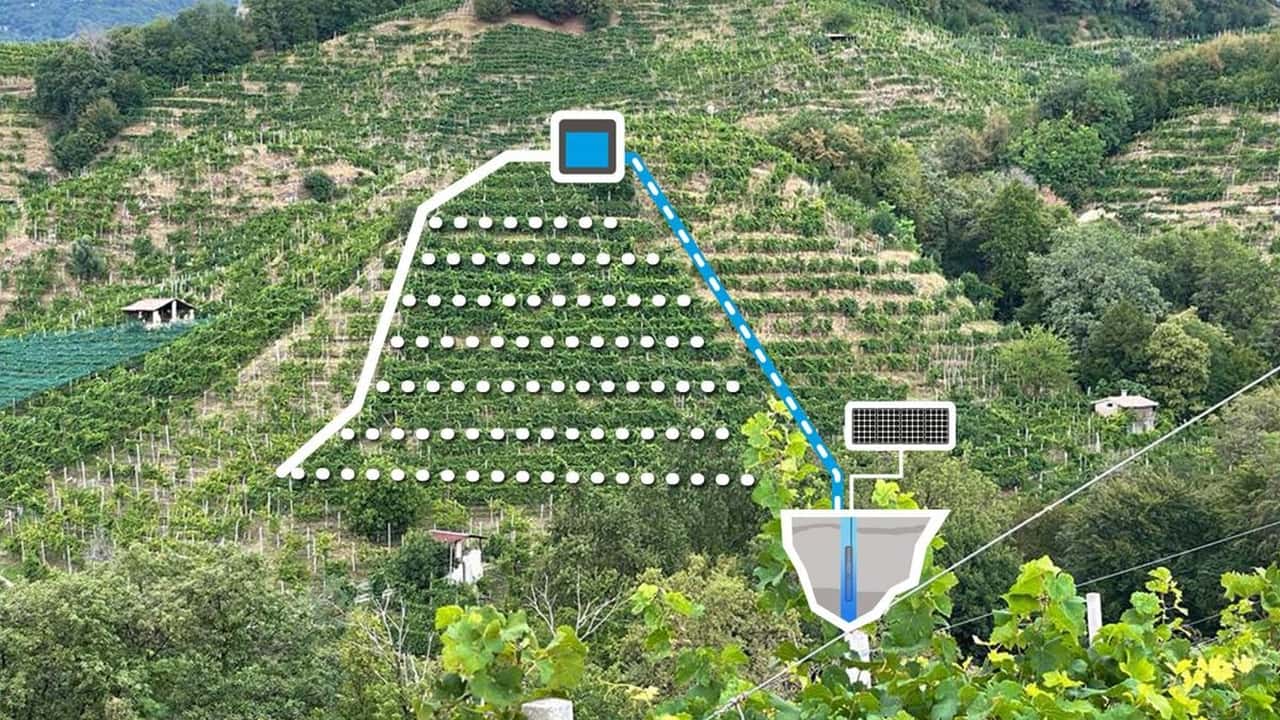 Gocciolatore autocompensante, vigneti, serre con fertirrigazione: membrana elastica e portata stabile; ala gocciolante vs puntuale