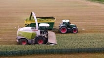 Triticale da insilato nei piani foraggeri 2026: rotazioni e rese