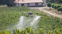 Il Consiglio UE apre all'irrorazione con drone dei fitofarmaci: ecco cosa prevede il Pacchetto Omnibus X e cosa cambia per gli agricoltori italian