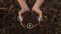 Fertilizzanti: la UE corre ai ripari, ma i campi già soffrono
