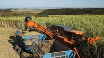 Jacto Hover 500: raccolta canna più efficiente e sostenibile