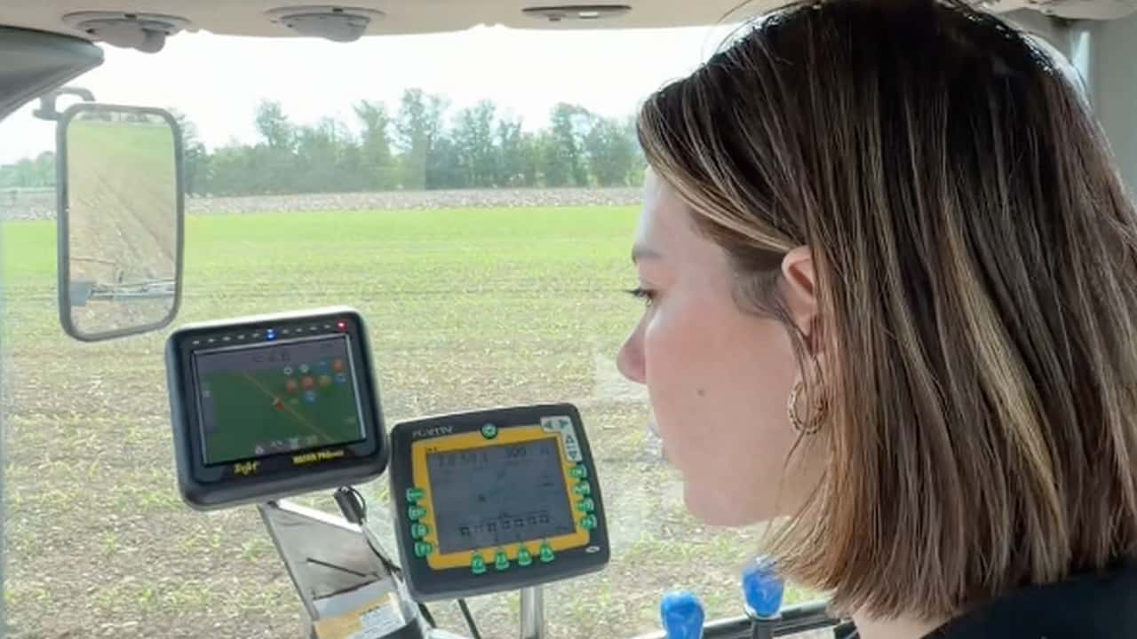  Elumis Syngenta per il Mais: Controllo Infestanti in Post-Emergenza
