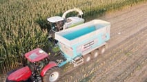 Lunghezza di trinciatura insilati: come tararla sul benessere delle bovine