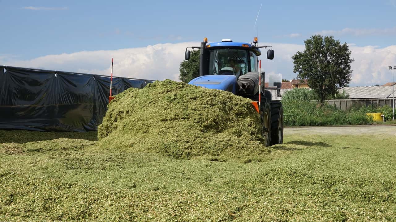 Mercato del lavoro agricolo 2025-2029: cosa dicono i dati CNEL