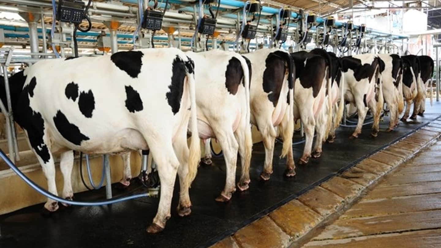 Prezzo del latte in Puglia e soglia dei 55 centesimi