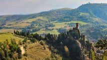 Toro - Campagna emiliana