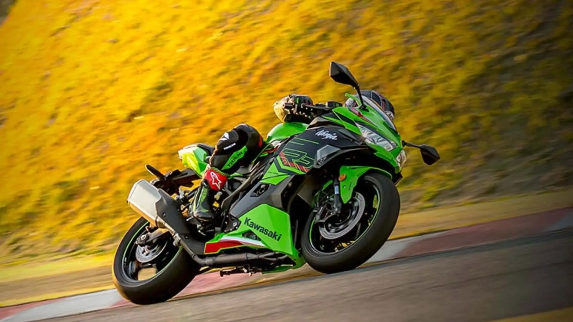 2024-kawasaki-ninja-zx-4rr---
