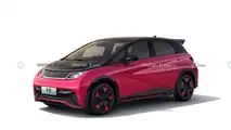 BYD Dolphin Commemorative Edition 2024