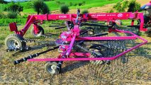 LELY HIBISCUS 745 CD Vario