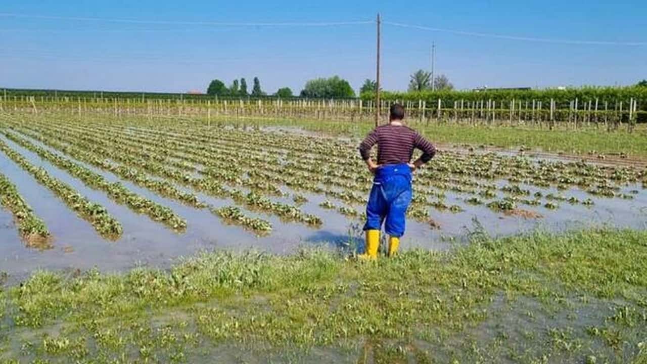 Agricoltori alluvionati senza sgravi contributivi