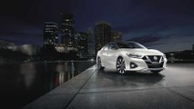 2023 Nissan Maxima