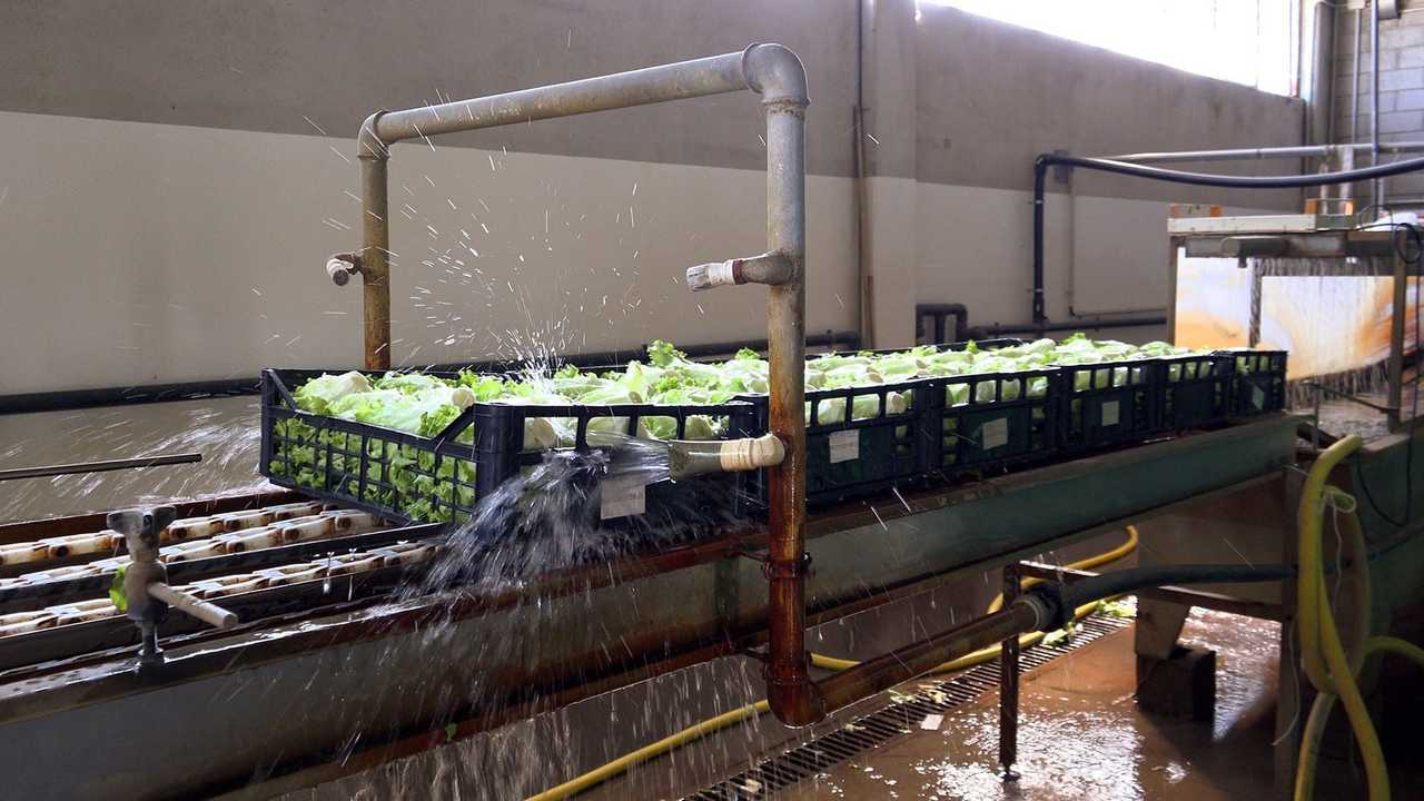 Robocrop InRow