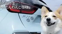 Honda'nın Köpeklere Özel Aksesuarları: Honda Dog