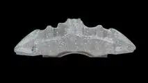Brembo Caliper Glitter