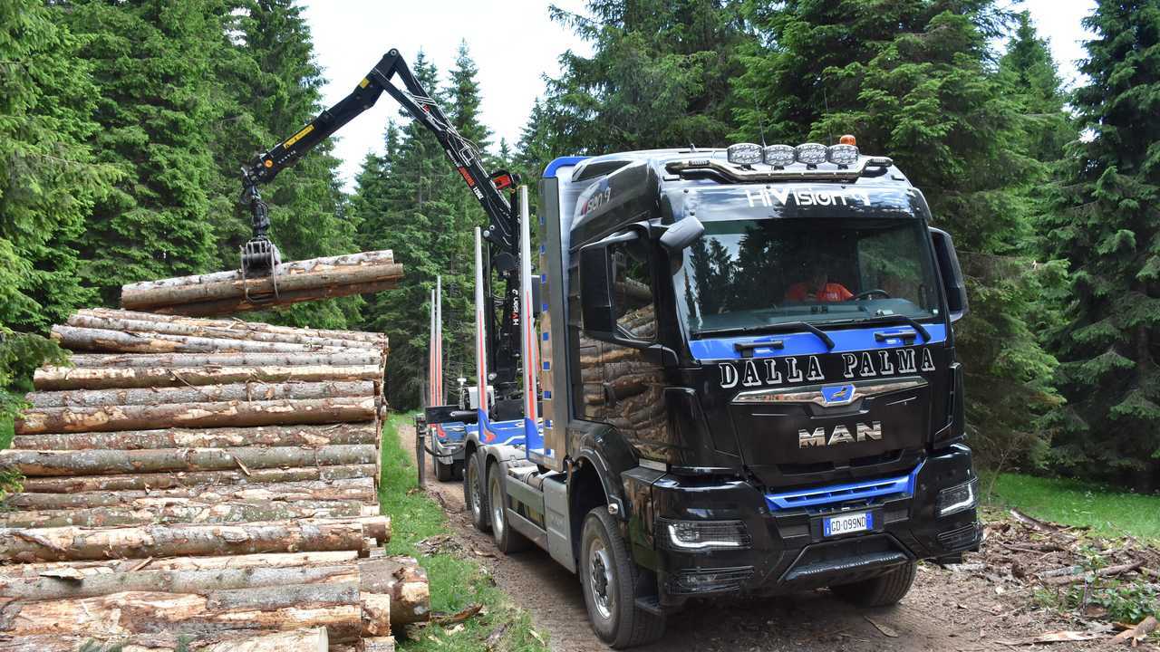 MAN TGS carico Tronchi