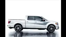 Schlangenhaut-Pick-up