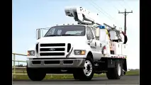 Schlangenhaut-Pick-up