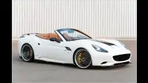 IAA: Hamann California