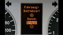 Sparspaß mit Erdgas?