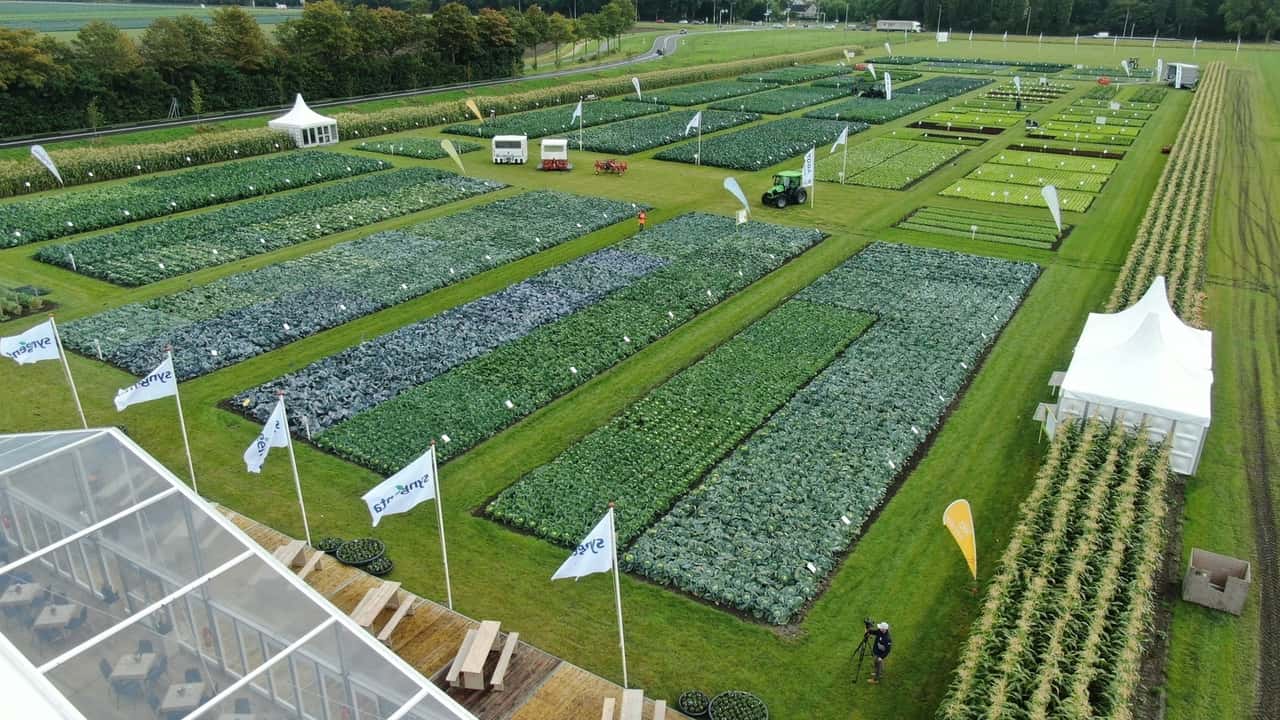 Syngenta Fields of Innovation: torna l'edizione 2024