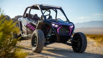 POLARIS-LE-3