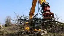 Escavatori JCB: abbattono un frutteto